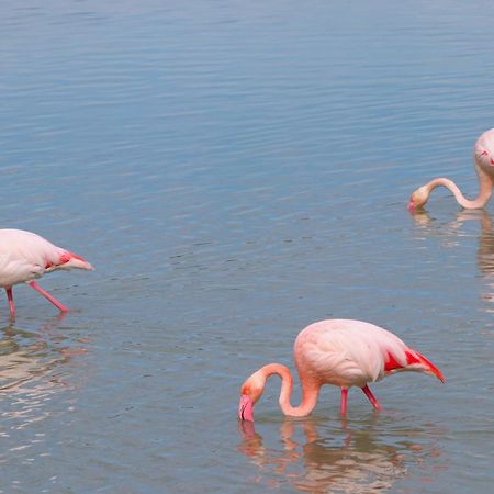 Casa El Oasis Villa Calp Dış mekan fotoğraf