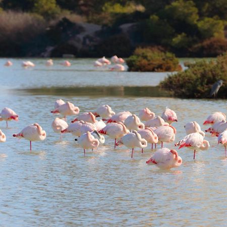 Casa El Oasis Villa Calp Dış mekan fotoğraf